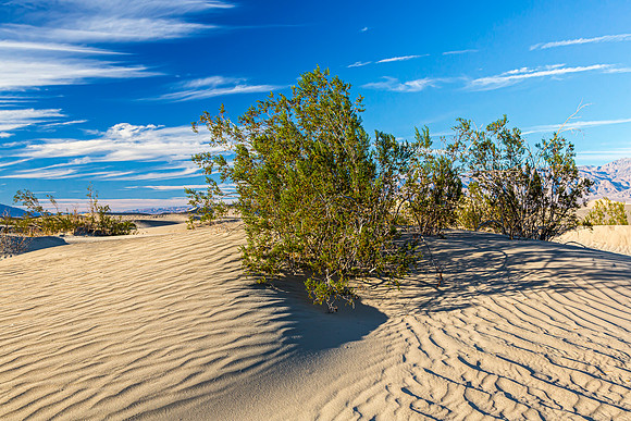 Mesquite Flat Dunes in Death Valley National Park