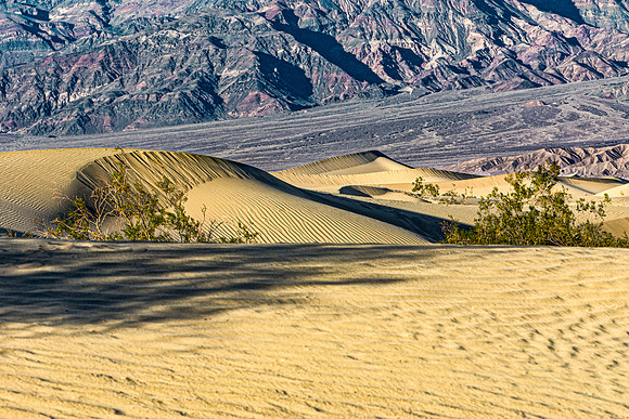 Desert Sand Dunes and Mountains Landscape