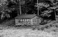 Old Weathered Wooden Shack in Forest