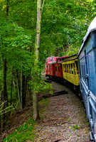 Train Journey Through Green Forest