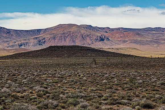 Desert Landscape with Distant Mountains