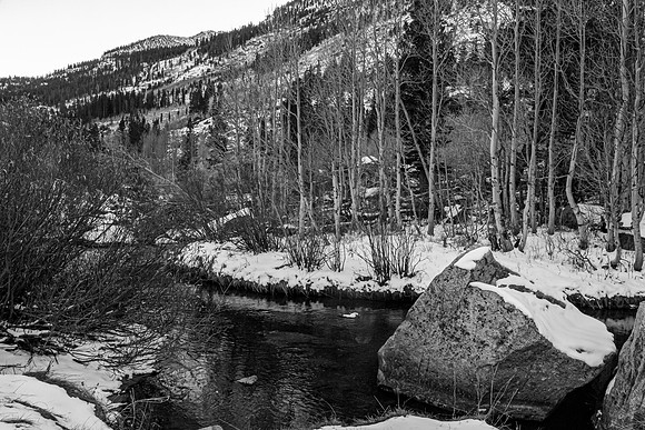 Winter Landscape with Creek and Trees