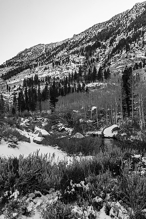 Winter Mountain Landscape with Creek and Snow