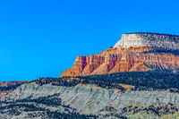 Desert Mountains and Pine Trees
