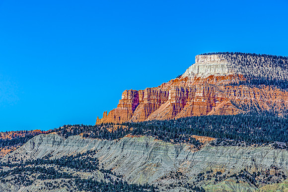 Desert Mountains and Pine Trees