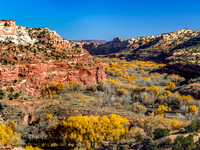 Desert Canyon Autumn Landscape
