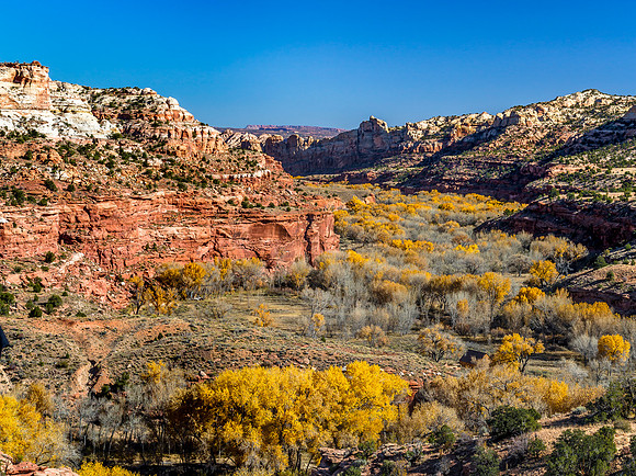 Desert Canyon Autumn Landscape