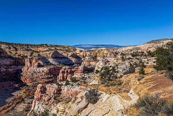 Arid Canyon Landscape