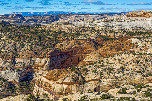 Rugged Canyon Landscape with Sandstone Cliffs and Sparse Vegetat