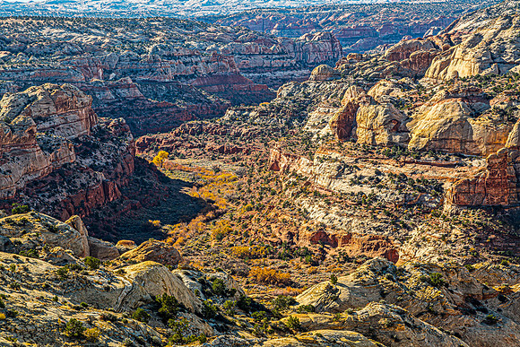 Canyon Landscape with Autumn Foliage