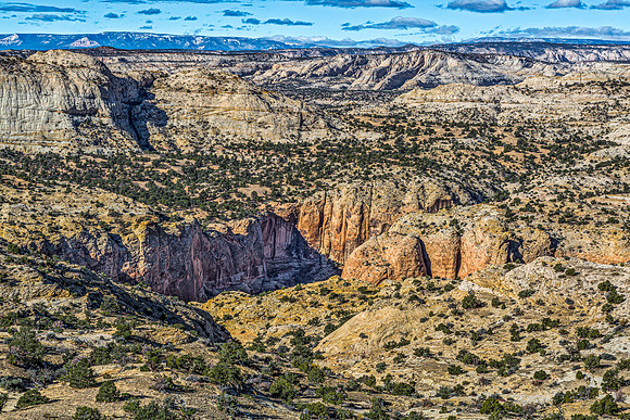 Desert Canyon Landscape with Geological Formations