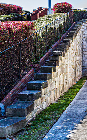 Outdoor Stone Stairs and Green Shrubbery