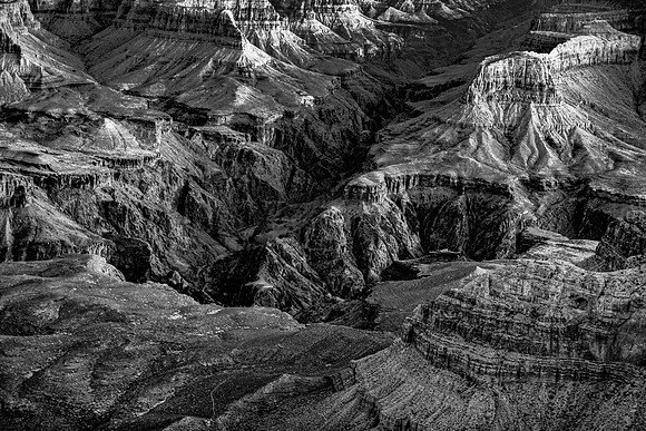 Grand Canyon Vista in Black and White