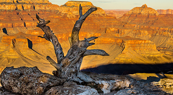 Grand Canyon Vista