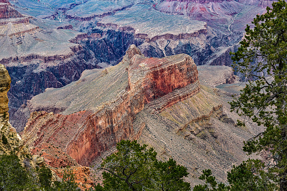 Grand Canyon Landscape View
