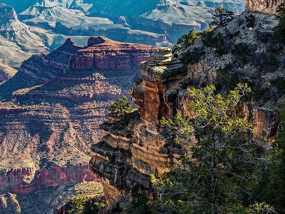 Grand Canyon Landscape