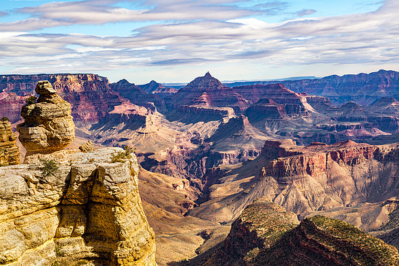 Grand Canyon National Park Landscape