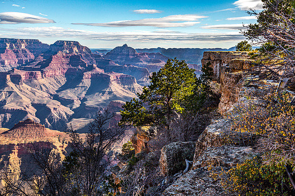 Grand Canyon National Park Landscape