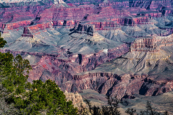 Grand Canyon National Park Landscape