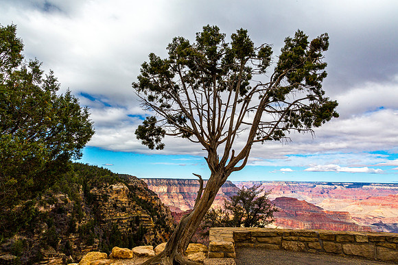 Grandview Point Grand Canyon Vista