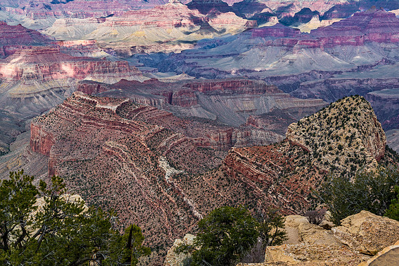 Grand Canyon Scenic View