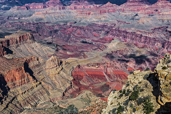 Grand Canyon National Park Landscape
