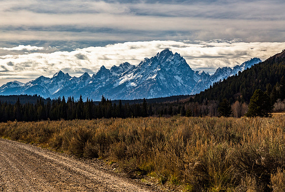 Grand Teton National Park Landscape with Mountains and Autumn Fo