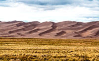 Desert landscape with sand dunes and dry grass