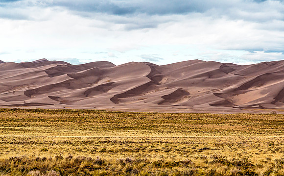 Desert landscape with sand dunes and dry grass