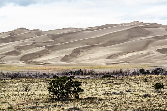 Great Sand Dunes National Park Landscape