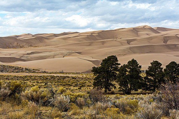 Great Sand Dunes National Park and Preserve Landscape