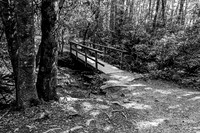 Wooden Bridge Over Stream in Forest