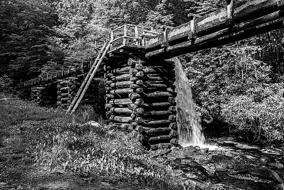 Rustic Log Flume in Forest