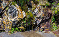 Newfound Gap Roadside