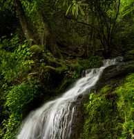 Cliff Branch Falls