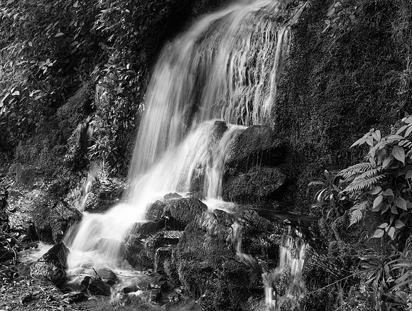 Cliff Branch Falls
