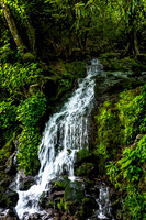 Great Smoky Mountains NP