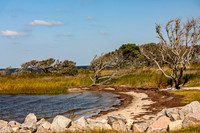 Rugged Coastal Scene