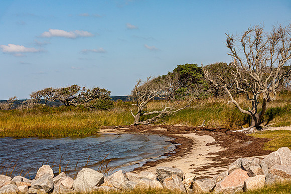Rugged Coastal Scene