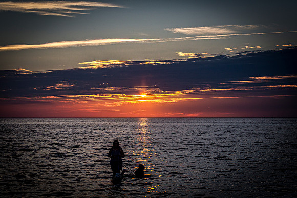 Woman and Dog in Water at Sunset