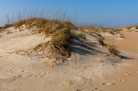 Sandy Dunes with Dry Grass