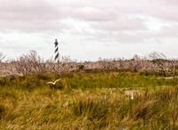 Striped Lighthouse with Egrets in Marsh