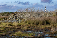 Cape Lookout Lighthouse in wetland area