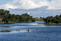 River Landscape with Birds and Cloudy Sky