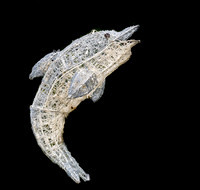 Wire Dolphin Sculpture on Black Background