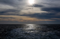 Bird over ocean sunset
