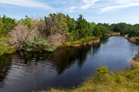 Winding River Through Green Landscape