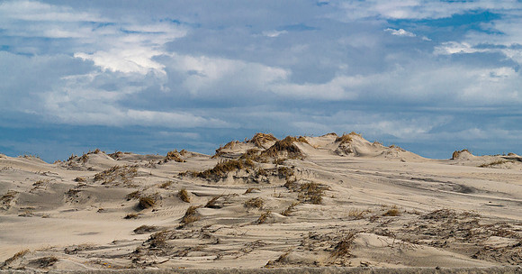 Sand Dunes Landscape