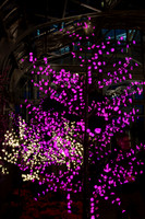 Artificial Light Tree at Night