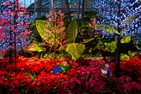 Holiday Display in Botanical Garden